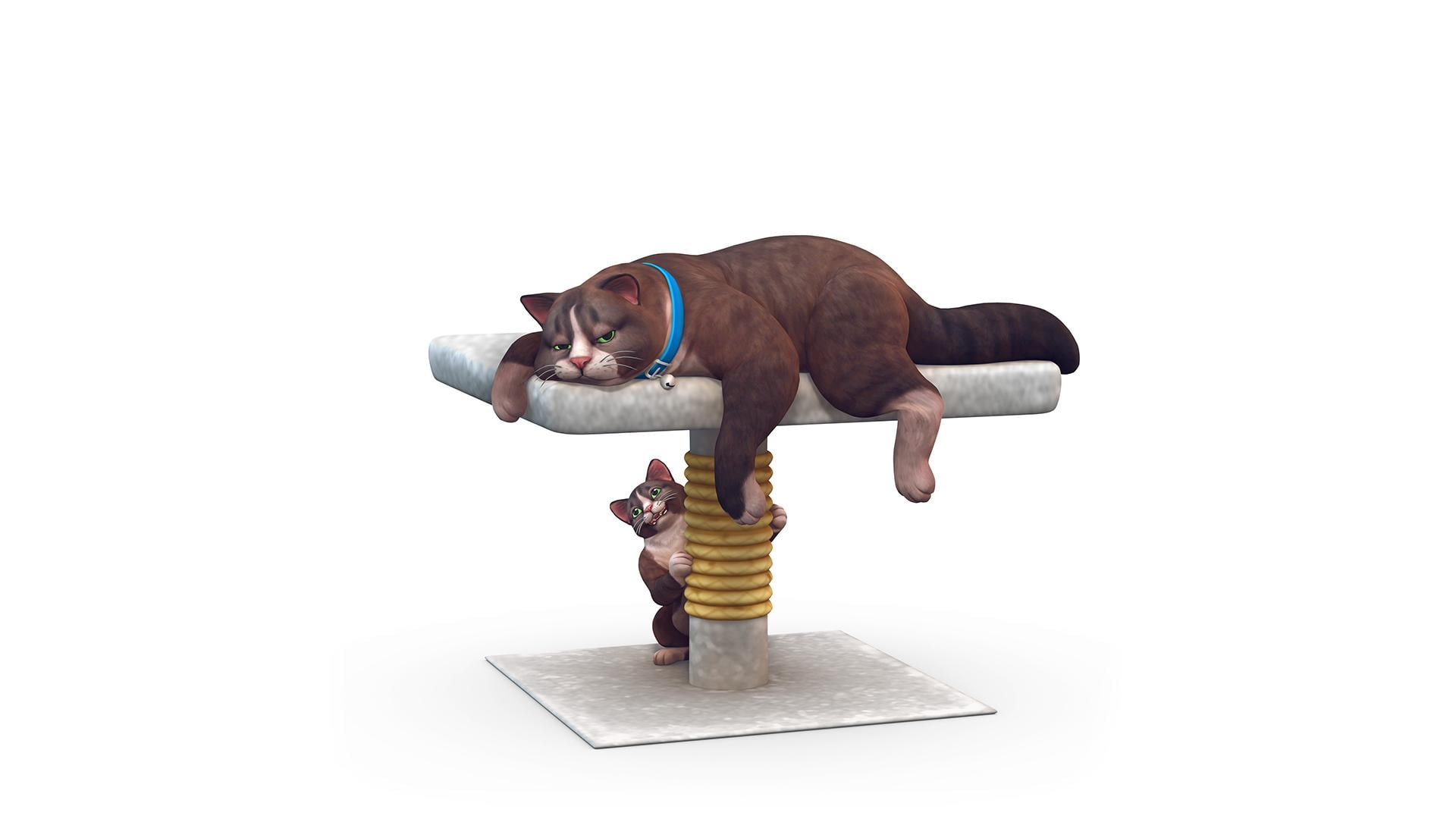 Qual é o seu animal perfeito para The Sims 4