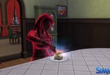 15230663550 4402526378 o