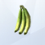 Banana-da-terra