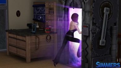 the sims curiosidade maquina viagem tempo