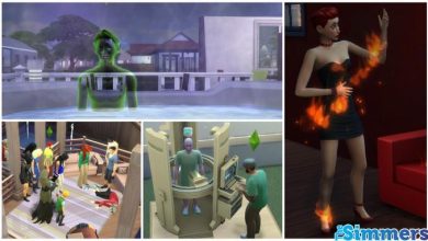 um ano de the sims 4 6