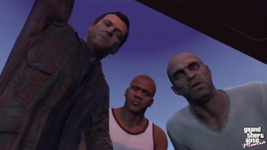 A opção C The Third Way