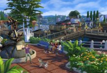 Aprenda a controlar seus gatos e cães 3