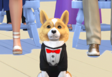 animais exclusivos the sims 4