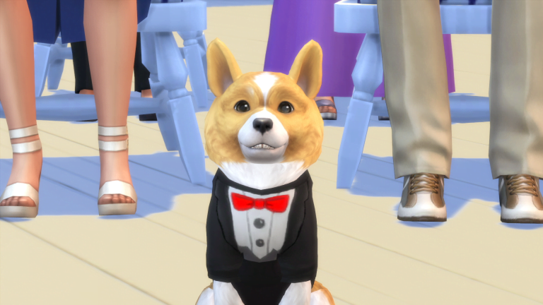 Crie os animais mais exclusivos com Criar um Animal