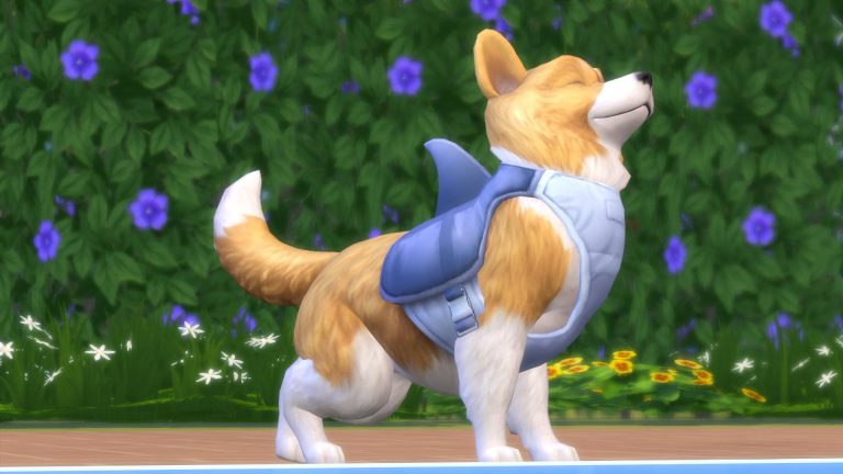 Personalidades únicas para os seus animais