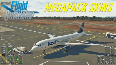 Microsoft Flight Simulator Pack de Skins