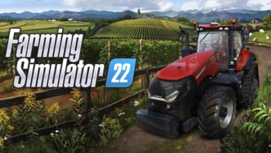 farming simulator 22 dicas