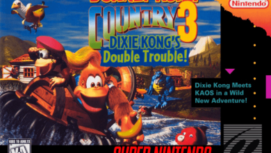 donkey kong country 3