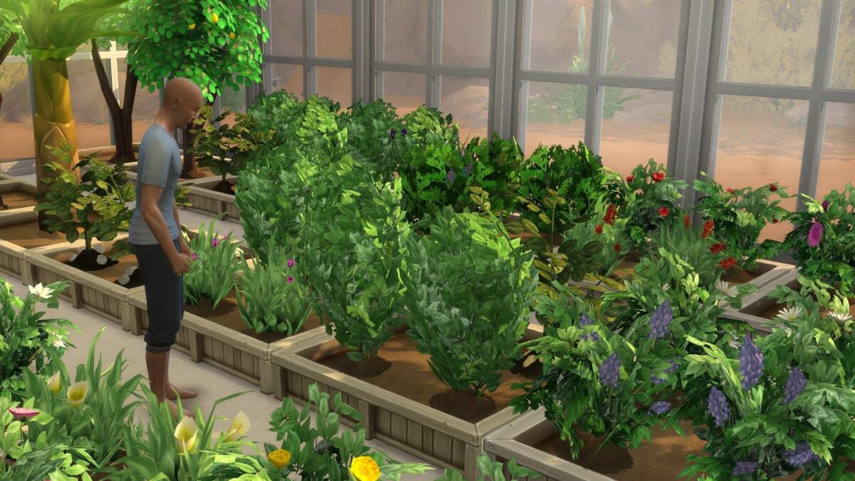 enxertos the sims 4