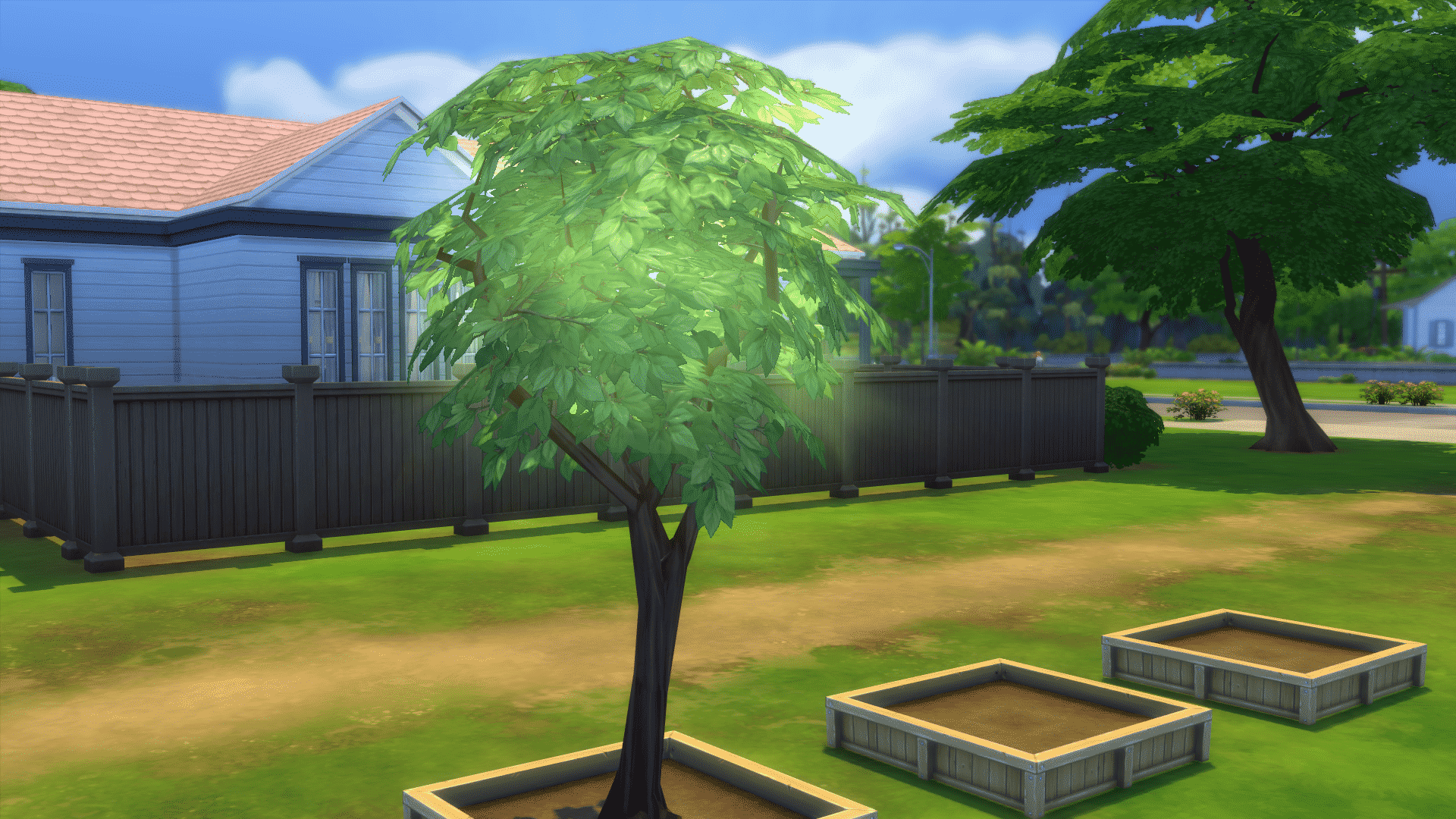the sims 4 planta fruta