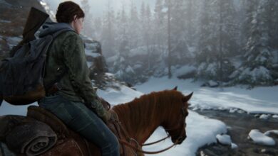 The Last of Us™ Part II Remastered Screenshot 2025.04.29 22.19.54.53