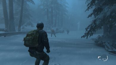 The Last of Us™ Part II Remastered Screenshot 2025.04.29 23.57.34.48