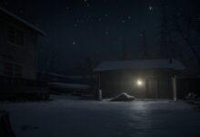 The Last of Us™ Part II Remastered Screenshot 2025.04.30 12.25.14.81