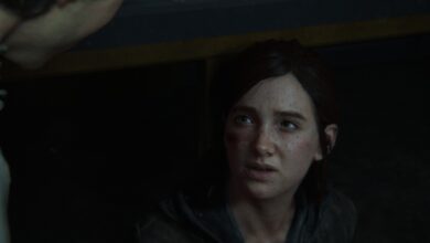 The Last of Us™ Part II Remastered Screenshot 2025.04.30 20.48.58.52