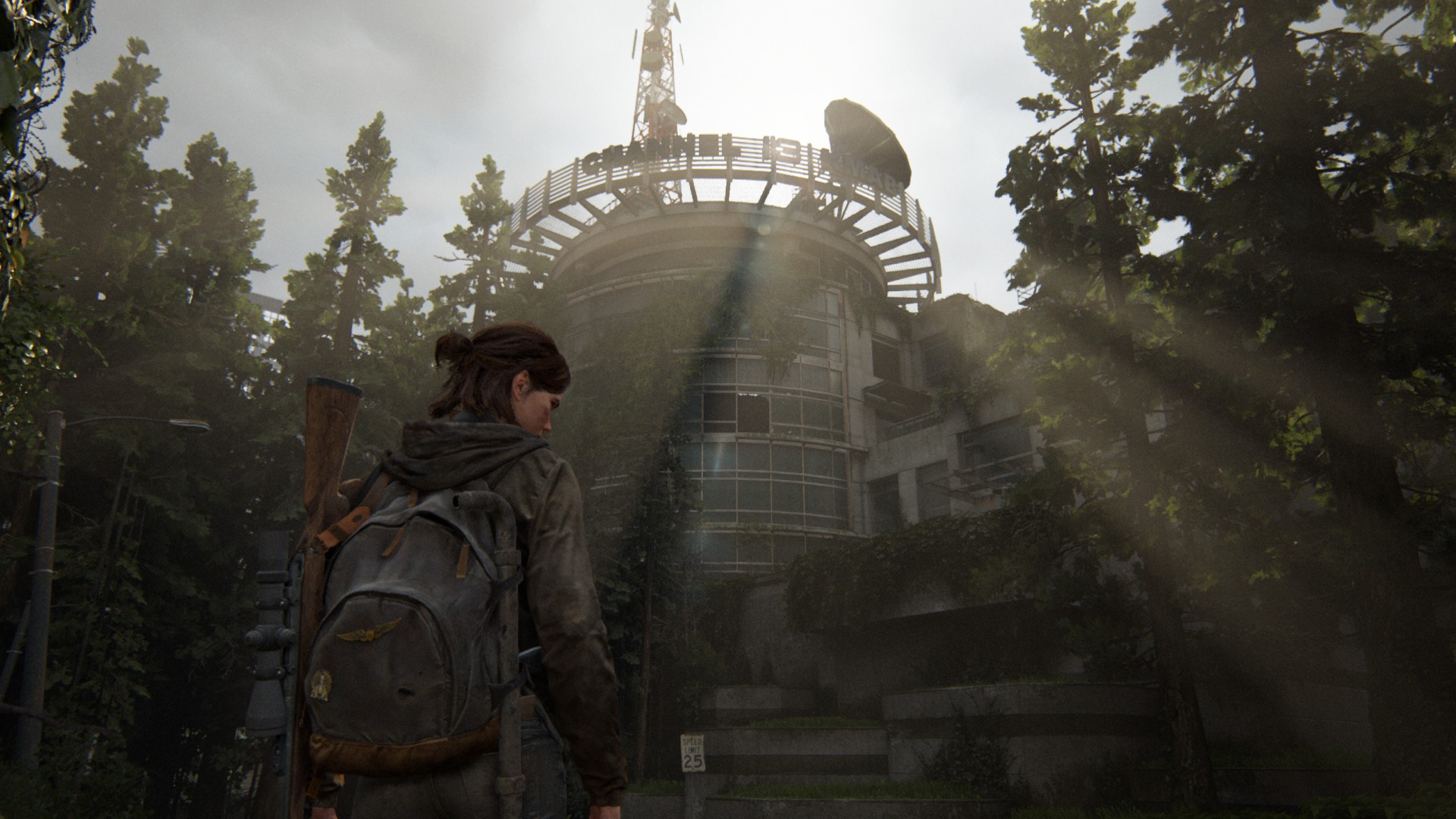 The Last of Us™ Part II Remastered Screenshot 2025.05.01 14.03.49.15