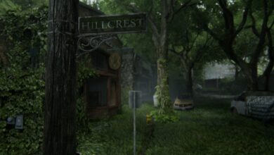 The Last of Us™ Part II Remastered Screenshot 2025.05.01 17.57.55.48