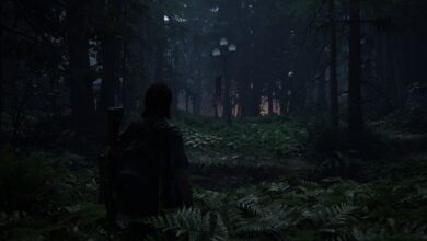 The Last of Us™ Part II Remastered Screenshot 2025.05.02 16.56.48.91