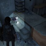 The Last of Us™ Part II Remastered Screenshot 2025.05.02 17.19.06.01