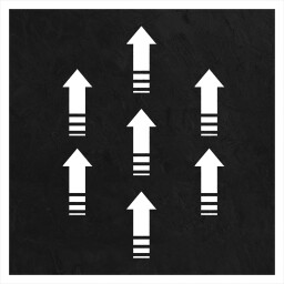 Treinamento de Sobrevivencia