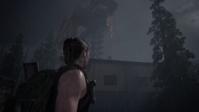 The Last of Us™ Part II Remastered Screenshot 2025.06.30 11.38.28.08