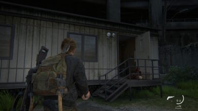 The Last of Us™ Part II Remastered Screenshot 2025.06.30 12.44.05.20